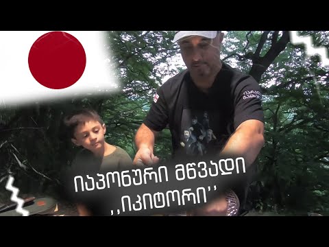 იაპონური მწვადი ,,იკიტორი'' თანამედროვე ტექნოლოგიების გამოყენება კულინარიაში