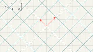 Singular Value Decomposition -- Beyond the Perspective