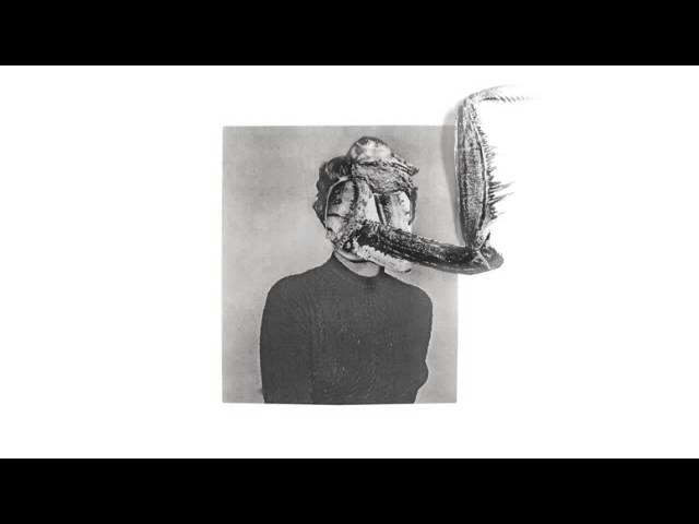 Obejrzyj Obsidian Kingdom - MANTIIS - Endless Wall w YouTube Obejrzyj Obsidian Kingdom - MANTIIS - Endless Wall w YouTube