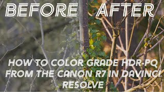 How to Grade HDR-PQ from the Canon R7