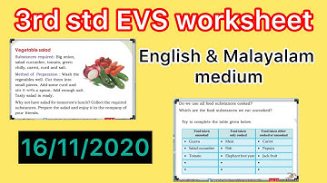 3 rd std Evs worksheet 16/11/2020 English & Malayalam medium