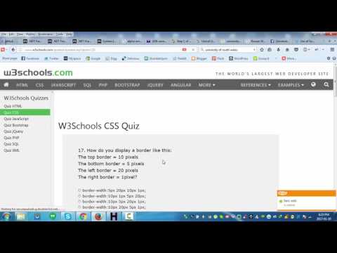 W3Schools CSS Quiz