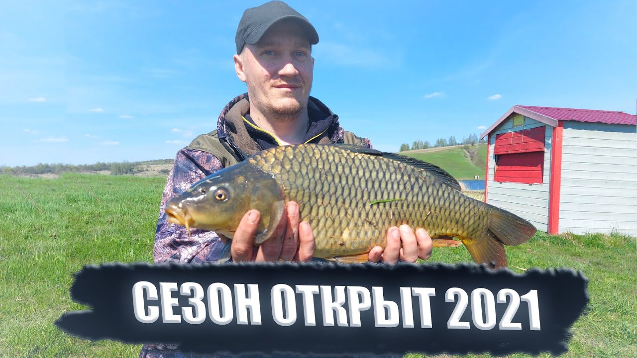 Клев клуб. Самые большие караси в мире.