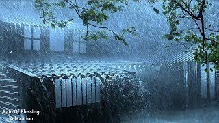 Gentle Night Rain - Rain Sound For Sleeping - Relaxing Study - ASMR