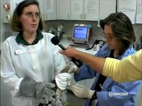 Nancy Anderson and Marcia Metzler working in the wildlife hospital