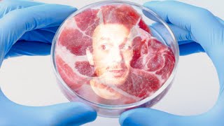Investing in the future of cultured meat