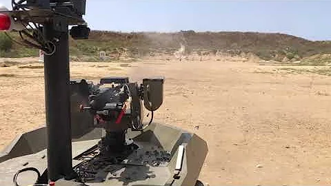 Pitbull on Jaguar shooting