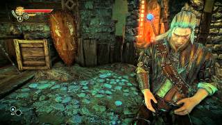 The Witcher 2 Gameplay (PC) Arena [1080p Full HD, Ultra Graphics]