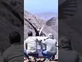 نسر ضخم يذوق الحرية لأول مرة نسر حيوان نسر طائر  
