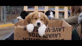 A Dog's Purpose Official Trailer (2017 - English Movie)