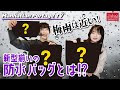 【バッグ紹介】新型揃いの防水バッグとは⁉