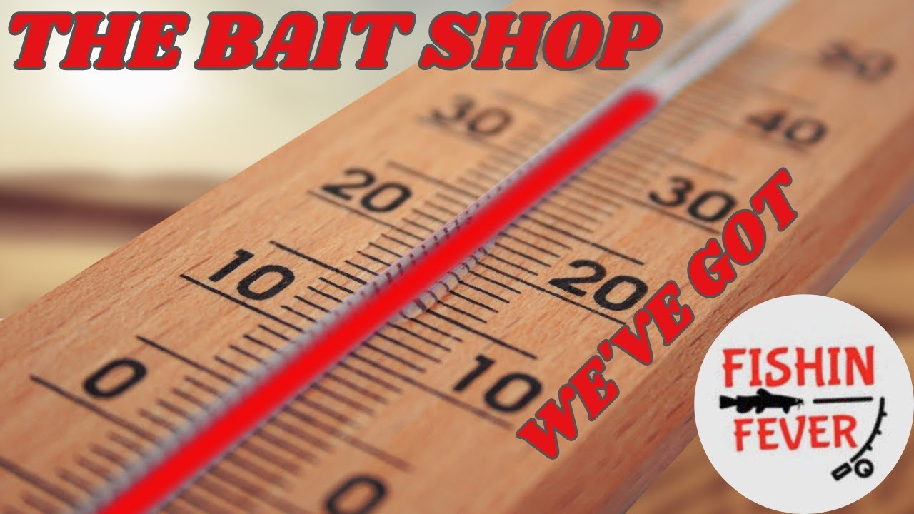 The Bait Shop S3:12 We've Got Fishin Fever - YouTube
