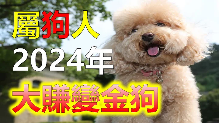 2024生肖運勢，十二生肖生肖狗迎來最大福報：2024年將結識三位終身貴人，事事如意！這個令人振奮的消息，作為生肖狗的你，2024年將是一個充滿機遇和好運的年份。這一年生肖狗將有幸結識三位終身貴人 - 天天要聞