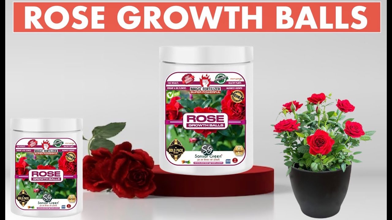 Sansar Green Rose Growth Powder Super Powerful Organic Fertiliser