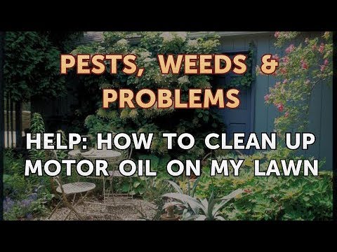 Will Motor Oil Kill Weeds: Myth or Effective Solution?