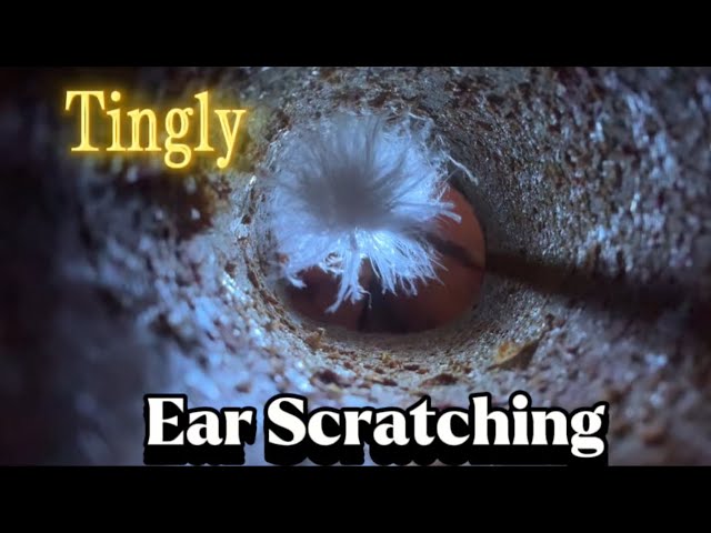 ASMR Ear Scratching & Tickling for Ultimate Tingles and Sleep