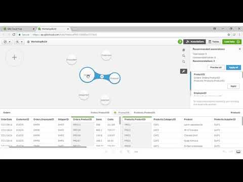 Qlik Sense Beginner
