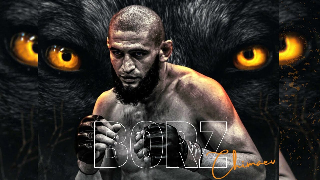 Khamzat ''Borz'' Chimaev - Highlights Resume [HD]