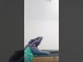 Definitely Real indominis rex Roar 🤣