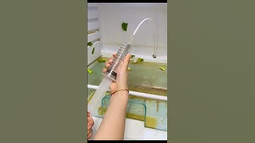 Thumbnail of #Shorts Amazing Products TikTok Video | Refrigerator Drain Cleaning Kit