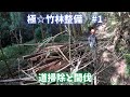 極☆竹林整備その１　 道と間伐