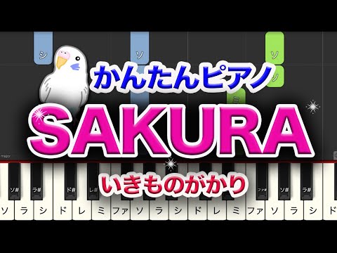 SAKURA　いきものがかり　簡単ピアノ