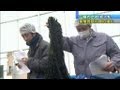 "三陸わかめ"初入札　生産量は震災前まで回復へ（13/02/19）