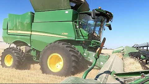 Wheat Harvest near Laura Ohio - July 2022
