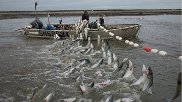 Automatic Long Net Fishing And Traditional Marine Nets. The best Fishing Fisherman