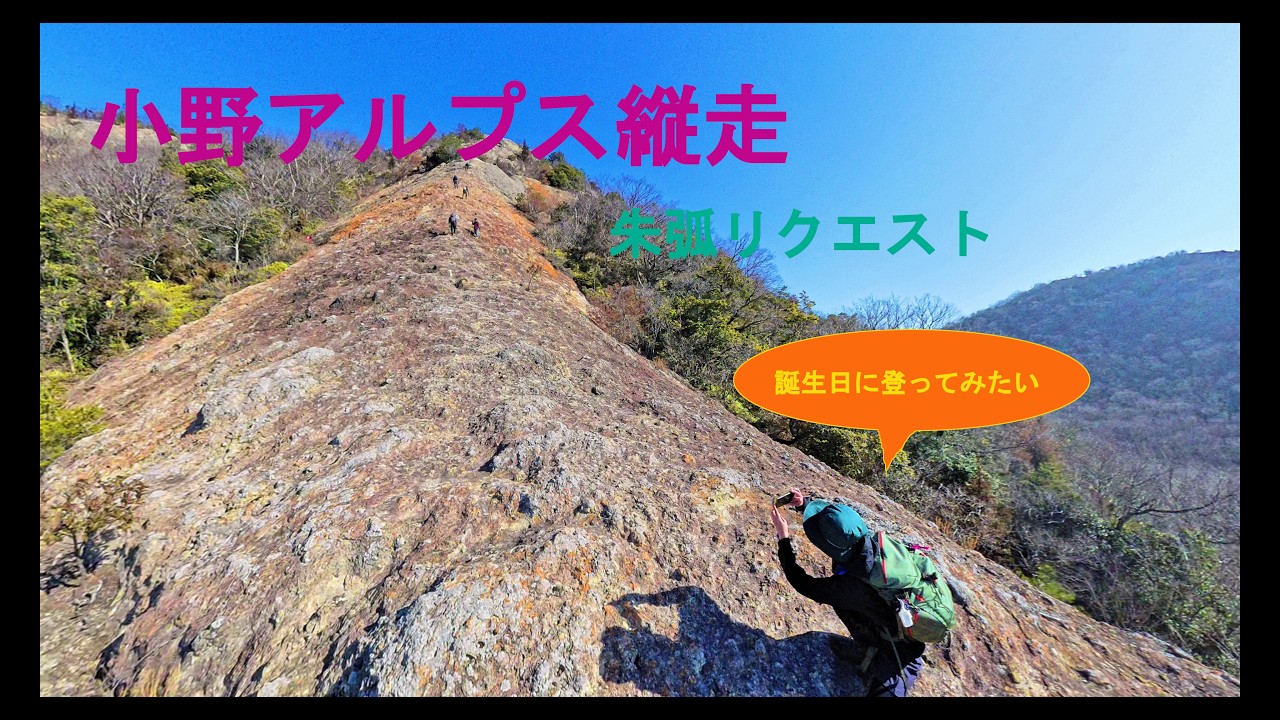 小野アルプスを縦走 #シュコ #朱弧 #小野アルプス #縦走 #誕生日登山 #日本一低いアルプス