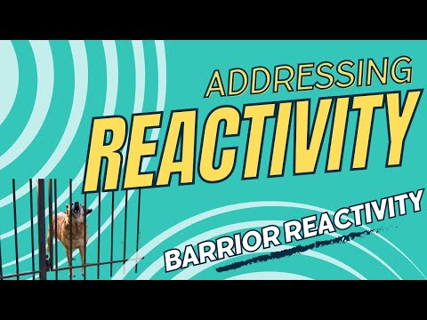 Reactivity  Barrier Reactivity video thumbnail