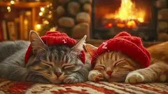 Two Dreams in the Firelight - Douceur de Lumière - Healing Cat Music(Official Audio)