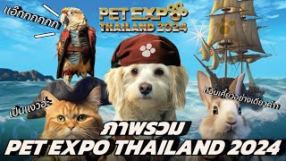 พาเที่ยว "Pet Expo Thailand 2024" มหกรรมงานสัตว์สุดยิ่งใหญ่แห่งปี มาเจอน้องตัวอ้วนๆ | LabioThailand