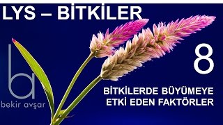 YGS LYS BİTKİLER-8:BİTKİ BÜYÜMESİNE ETKİ EDEN FAKTÖRLER screenshot 4