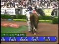 1995  東京優駿パドック（大川慶次郎のバカによく見える馬）日本ダービー