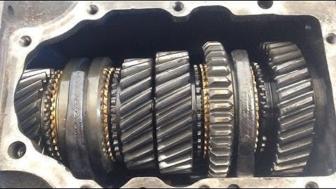 4 Speed Top Loader Dave