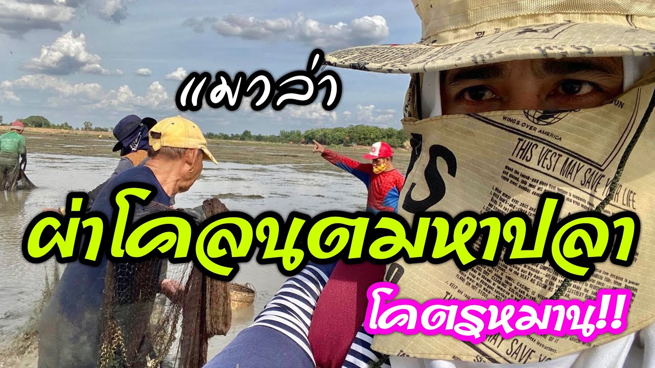 โคตรหมาน !! แก๊งค์แมวล่าผ่าโคลนตมลุยน้ำหาปลา ( ยายแหลม หนุ่มโจ แขกผู้ใหญ่มานะชัย )