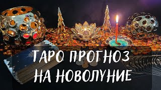 ЧТО ПРИНЕСЁТ НОВОЛУНИЕ 13 ДЕКАБРЯ КАЖДОМУ ЗНАКУ ✨ЗОДИАКА