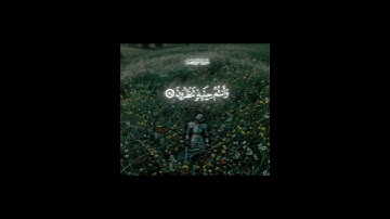 فلولا اذا بلغت الحلقوم #quran #المصحف #islamicstatus #تلاوة_خاشعة #قران_كريم #قرآن