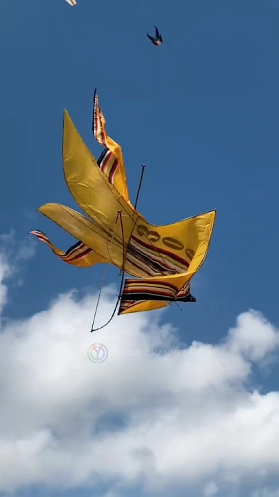 CRASHED IN THE AIR‼️Tragedy during a storm #shortvideo #fypnews