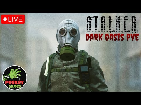 Видео: 🛑 DayZ Stalker "День 9й - Квесты и кач" (Server - DarkOasis Hardcore Stalker PVE)