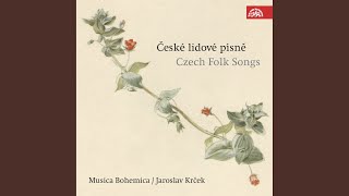 Czech Folk Songs - Twelve virgins fell asleep /Wedding songs and rhymes/