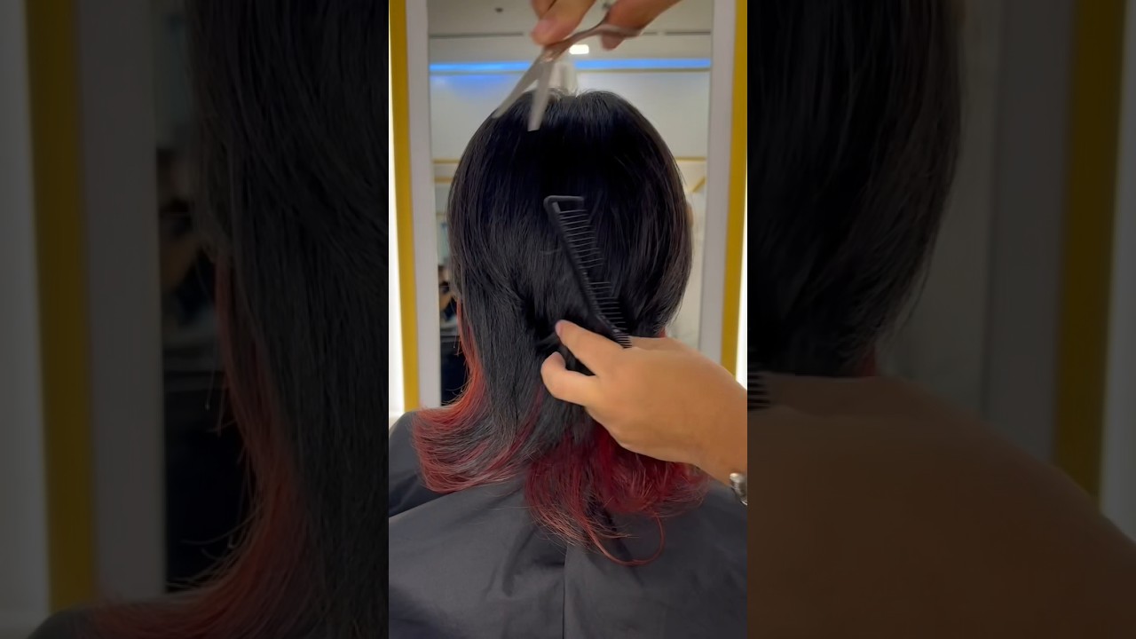 Wolf Cut W/ Under Color ✔️