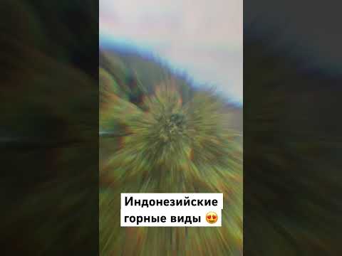 Виды с индонезийских