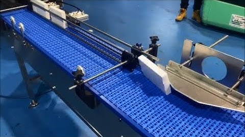 Product laydown orientation device and turners on Conveyor Lines