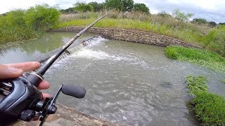 Thanks to our sponsor dollar shave club new members get their 1st
month of the executive razor with a tube dr. carver’s butter for
only $5 wit...