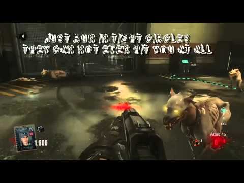 Exo Dogs Not So Tough | Call Of Duty Advanced Warfare | Exo Zombies