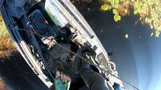 Powell Endurance 765 THE UTILITY ROD