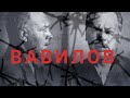 Николай Вавилов. Сборы семян. ВИР. Арест