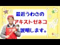 アキストゼネコYouTube